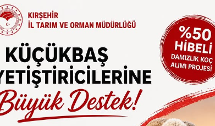 Kırşehir’de Hayvancılığa Yüzde 50 Hibe Desteği: Başvurular Başladı