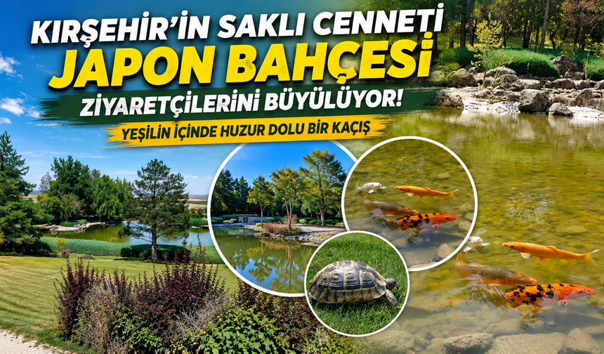 Kırşehir’in Saklı Cenneti Japon Bahçesi Ziyaretçilerini Büyülüyor! Yeşilin İçinde Huzur Dolu Bir Kaçış