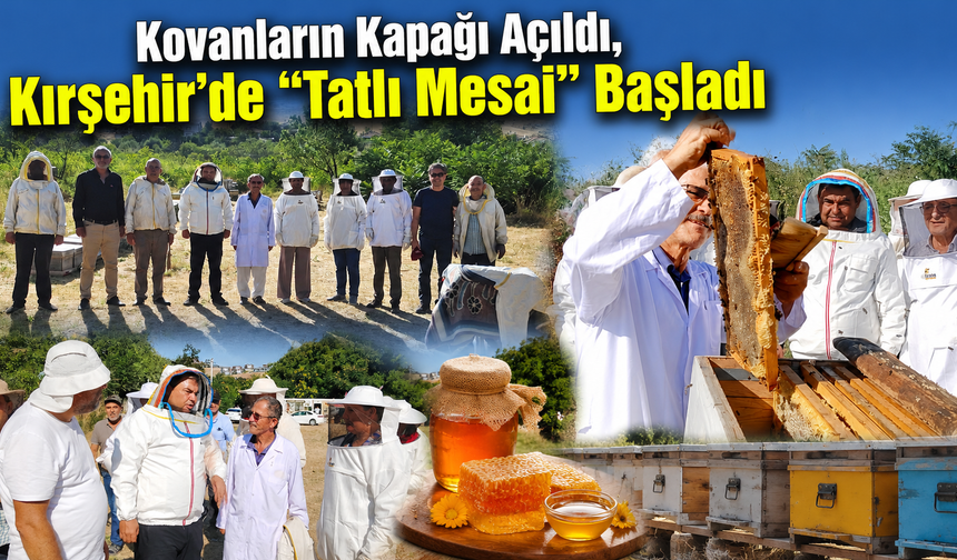 Kovanların Kapağı Açıldı, Kırşehir’de “Tatlı Mesai” Başladı