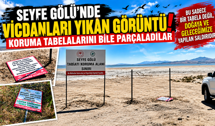 Seyfe Gölü’nde Vicdanları Yıkan Görüntü! Koruma Tabelalarını Bile Parçaladılar