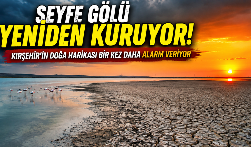 Seyfe Gölü Yeniden Kuruyor! Kırşehir’in Doğa Harikası Bir Kez Daha Alarm Veriyor