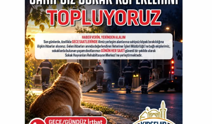 Kırşehir Belediyesi’nden Sahipsiz Köpekler İçin İhbar Çağrısı