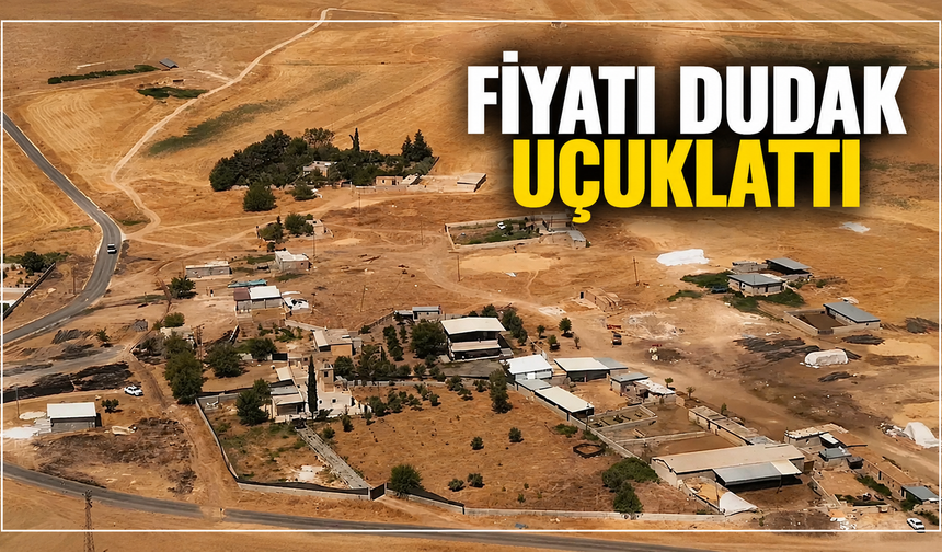 Türkiye’de Bir İlk: Köy Komple Satışa Çıkarıldı!