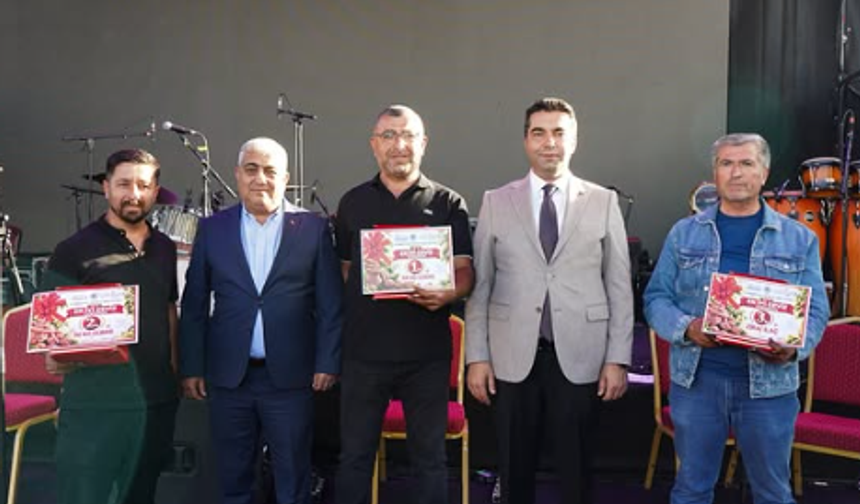 Kaman'ın En İyi Cevizi Belli Oldu! İşte Kazanan İsimler