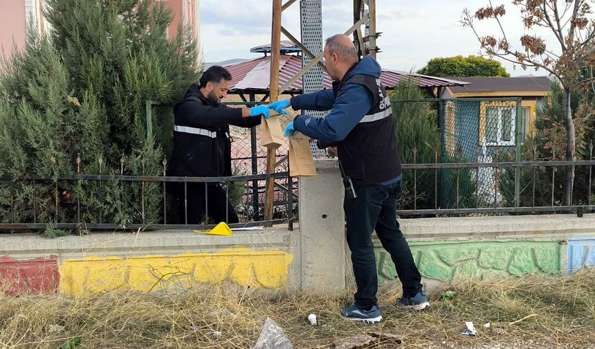 Elektrik Direğine Çıktı, Acı Sonla Karşılaştı!