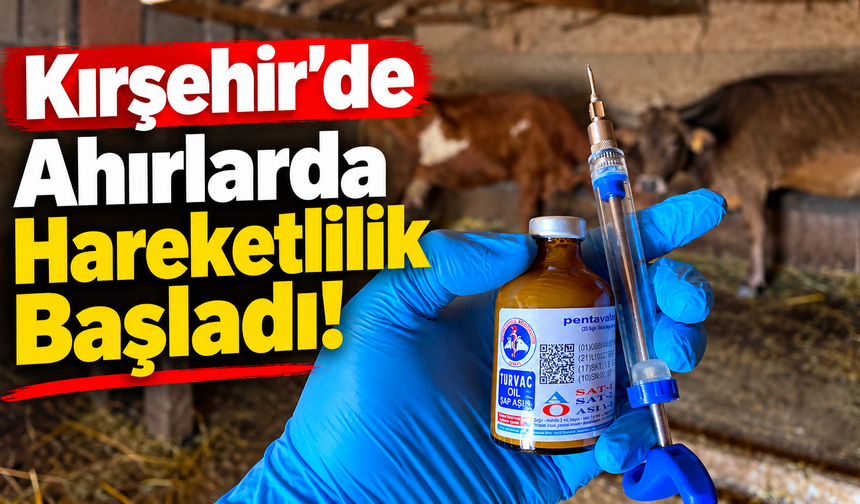 Kırşehir’de Ahırlarda Hareketlilik Başladı!
