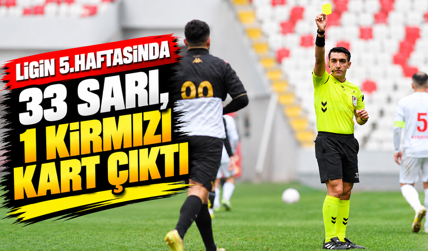 TFF 3. Lig 3. Grup’ta 5.haftanın kart raporu