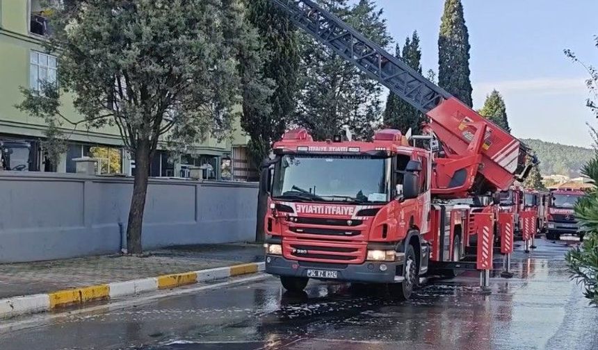 Korkutan Yangın! Alevler 2 Metreye Ulaştı