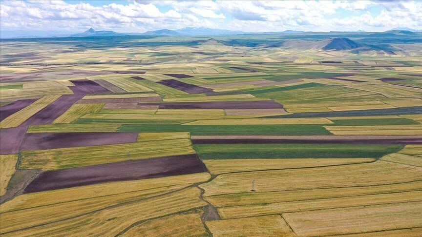 Uzmanlar Arsa Ve Tarla Alırken Dikkat Edilmesi Gerekenleri Açıkladı