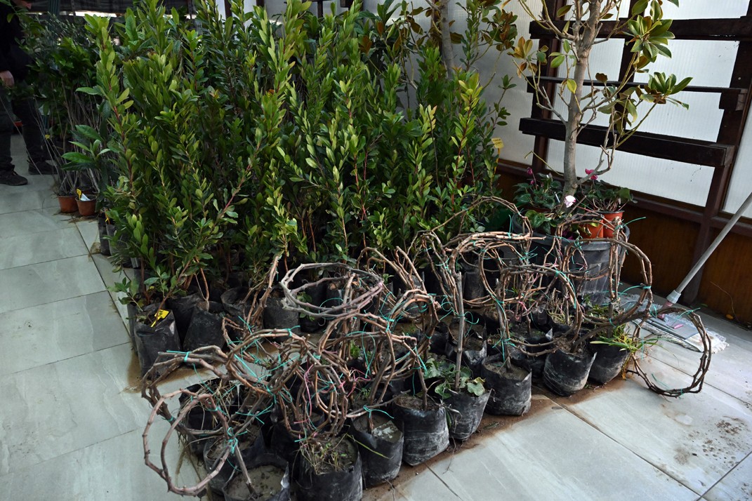 Bahçeleri̇ Renklendi̇rmeni̇n Zamani2