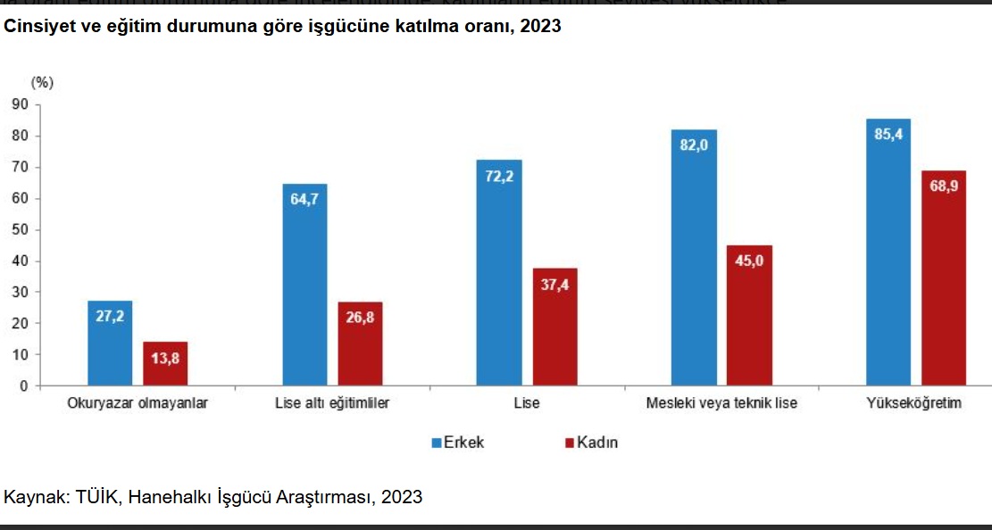 Kadınişgücü