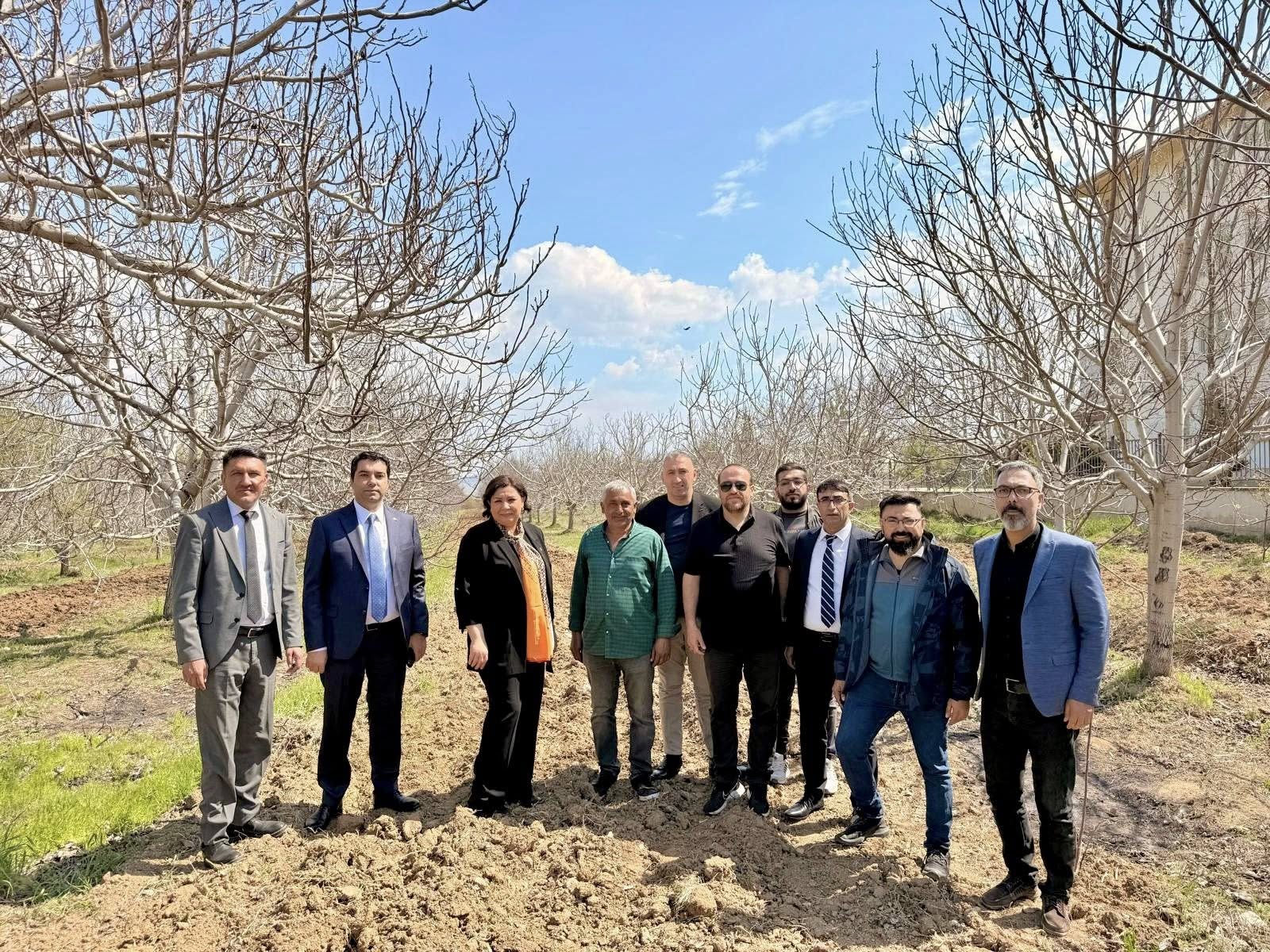 Donun Vurduğu Ceviz Bahçelerine Başkan Desteği