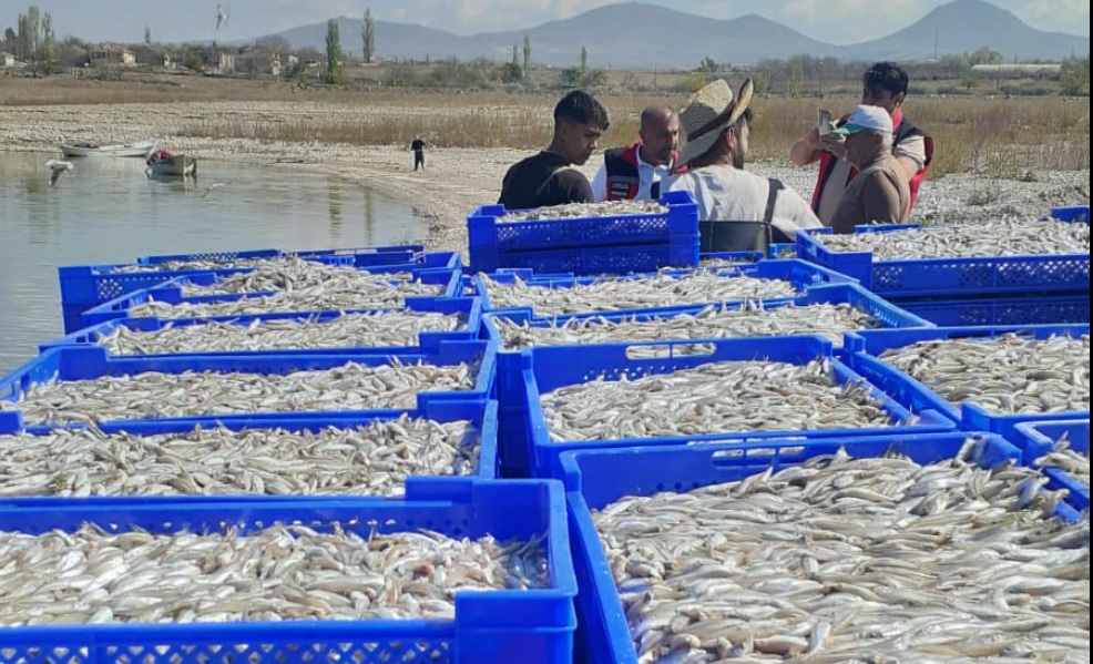 Gümüşbalığııı