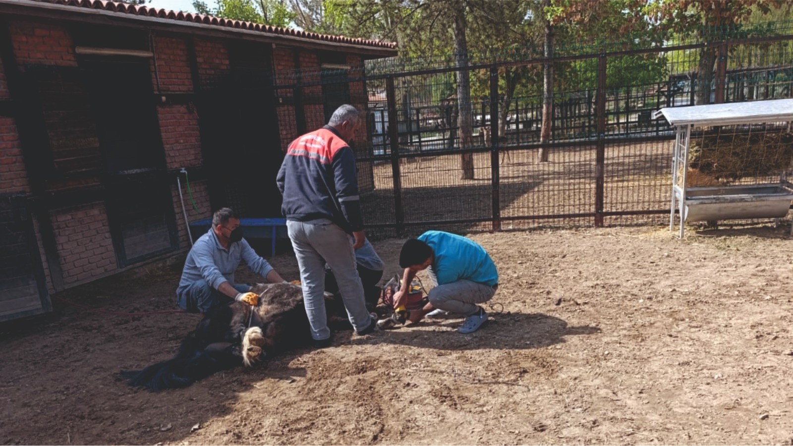 Güzler Evcil Hayvanlar Parkı’nda Bakım Ve Temizlik Yapıldı4