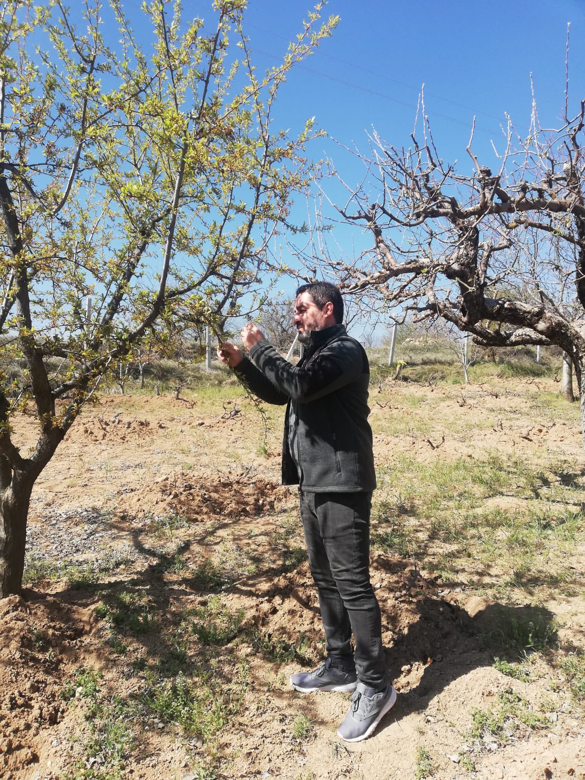 Kırşehir Kaman'da Öğrencilere Gıda Güvenliği Eğitimi Verildi3