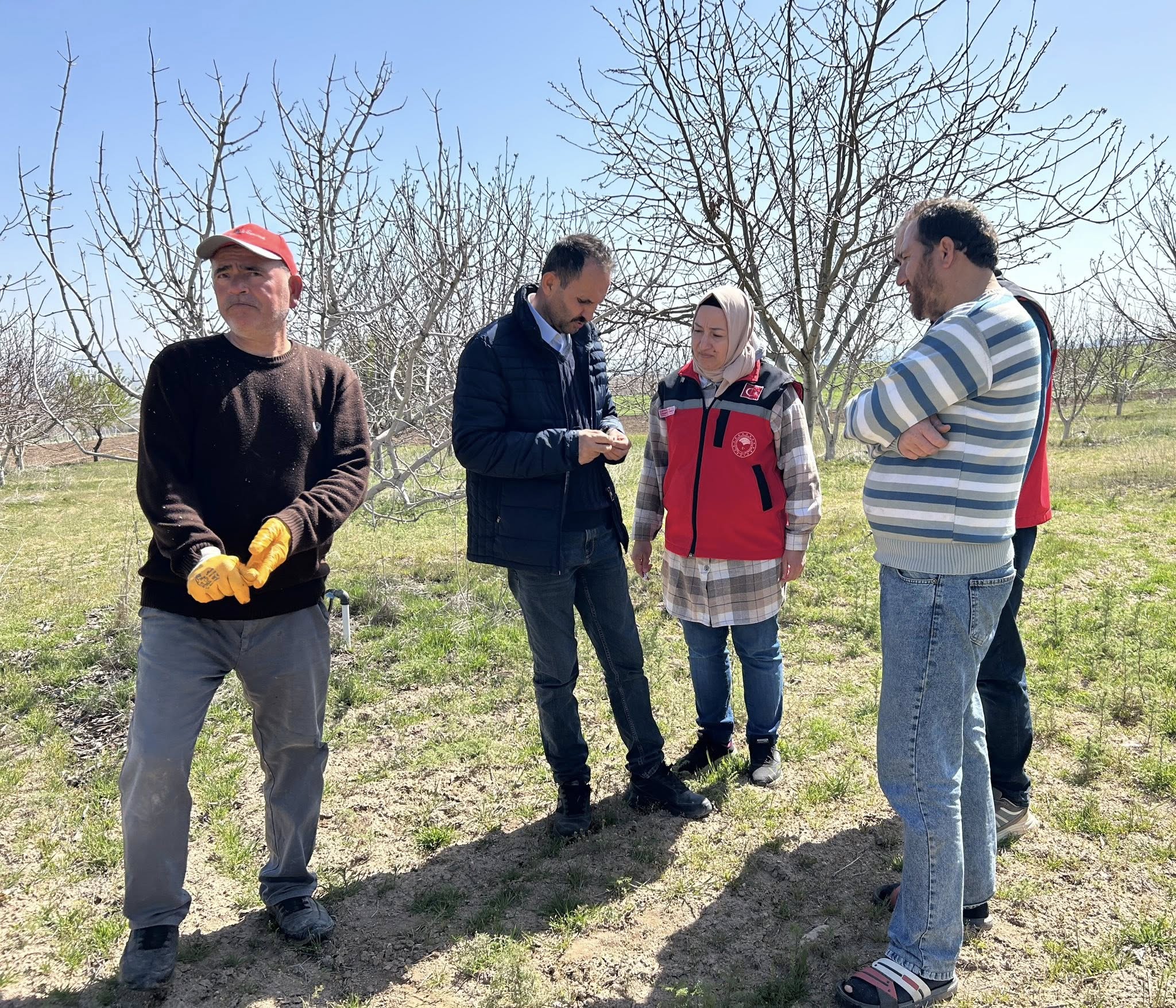 Kırşehir'de Don Zararı Tespit Çalışmaları Devam Ediyor1