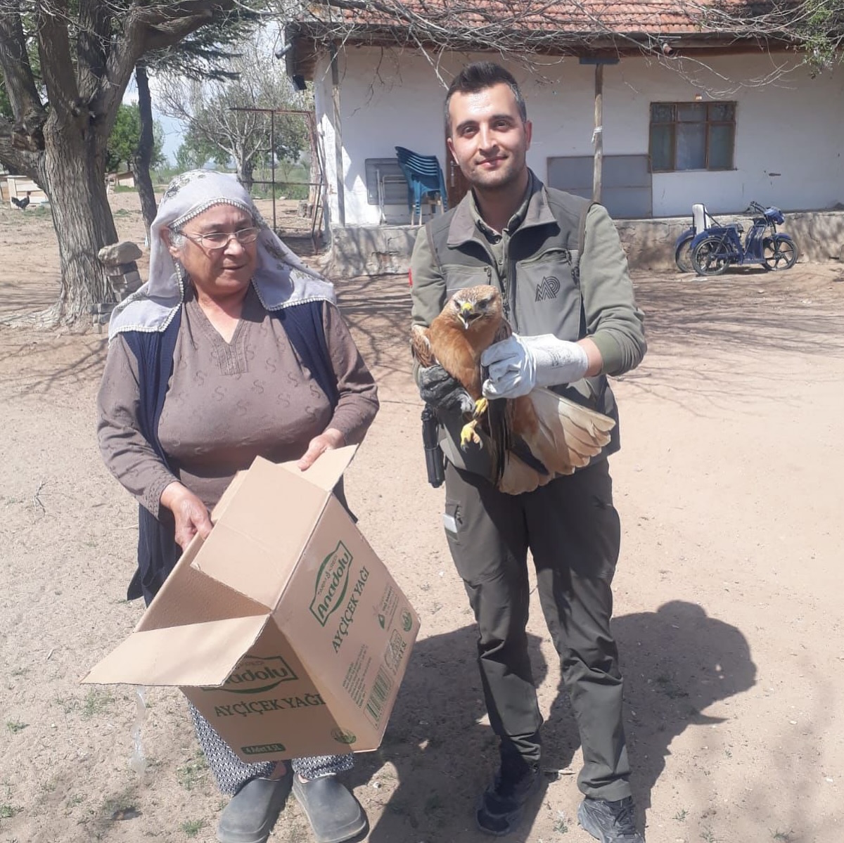 Kırşehir'de Yaralı Kızıl Şahin Emin Ellerde