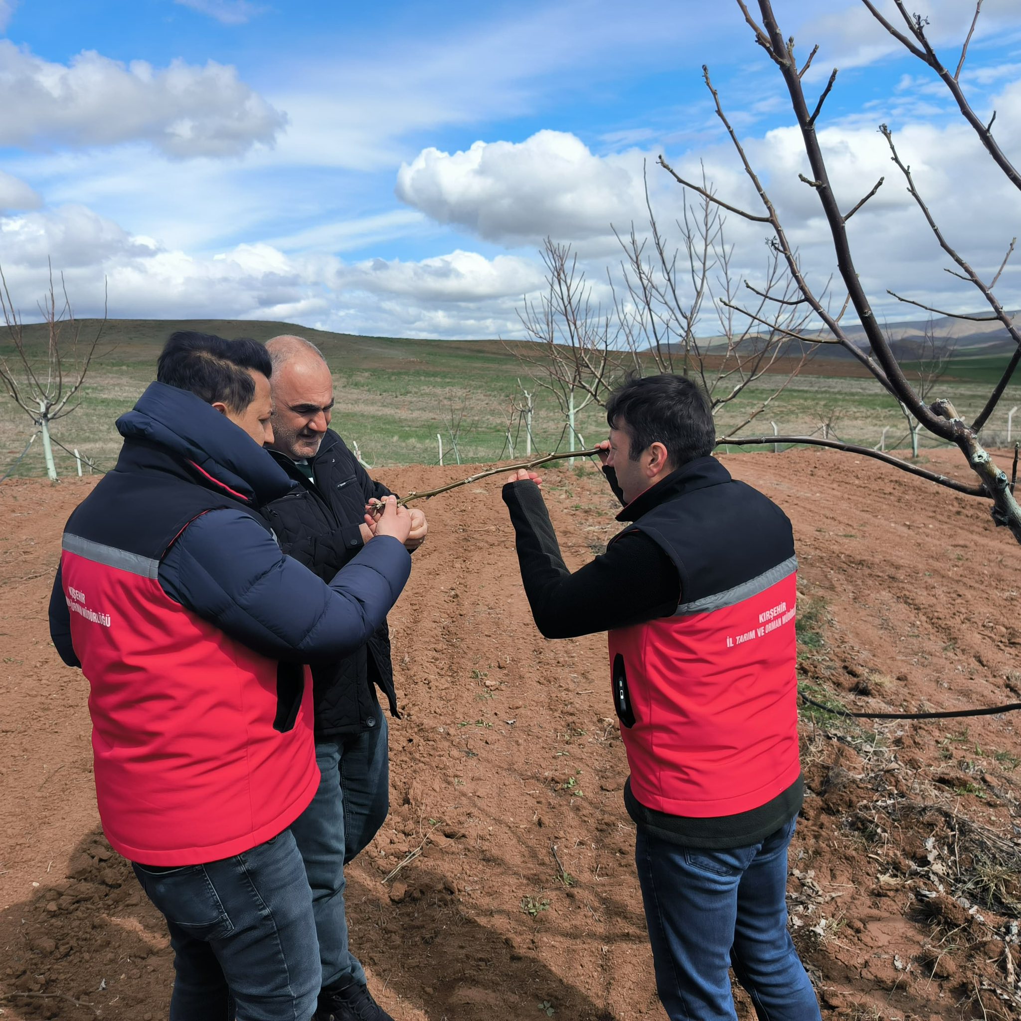 Kırşehir’de Zirai Don Sonrası Üreticilere Tam Destek!2