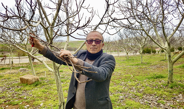 Kırşehir’de Zirai Don Zararının Telafisi 2 Yılı Bulacak3