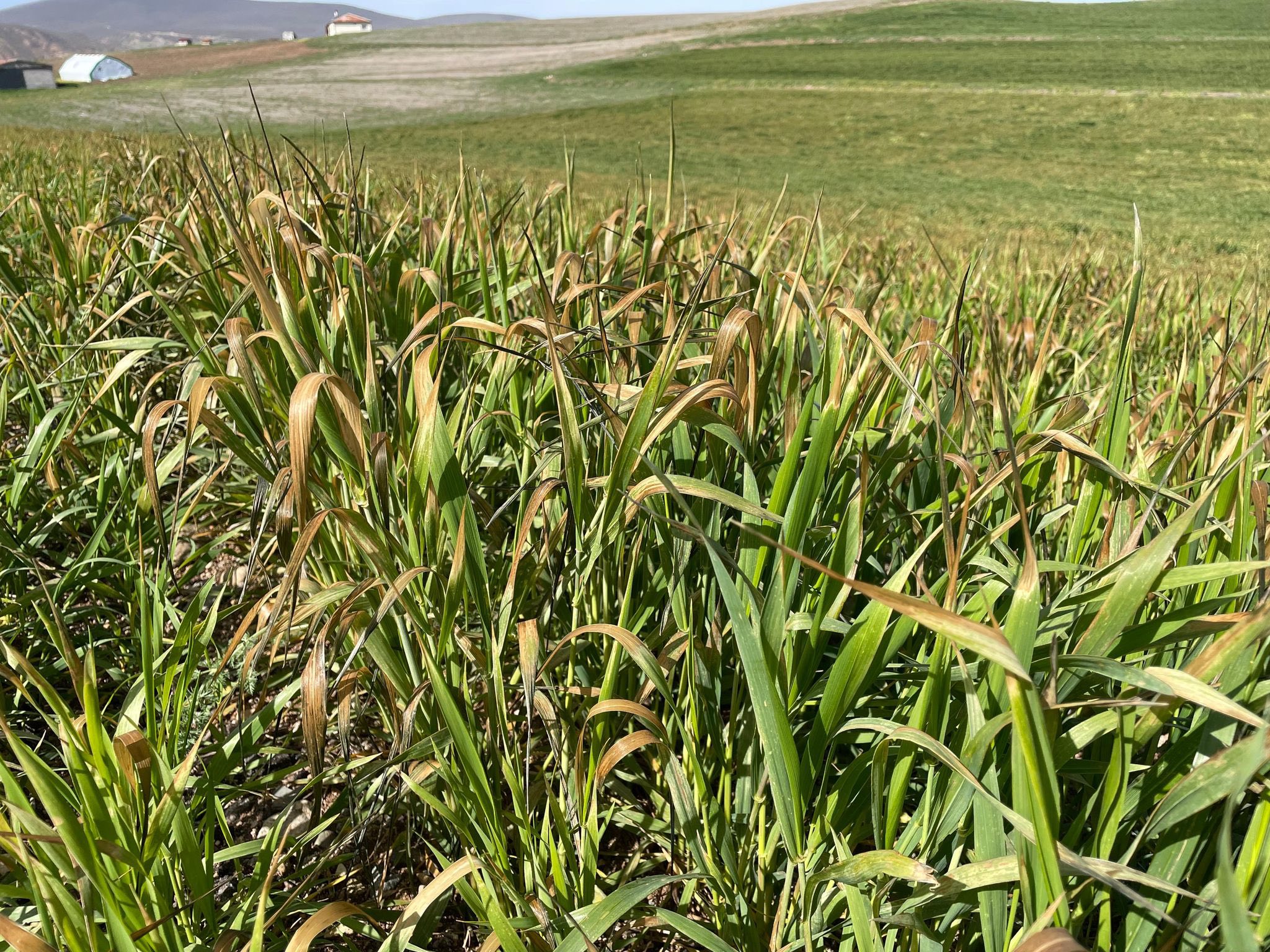 Yaşanan Son Olaylar Kırşehir’de O Kurumun Çalışmalarını Hızlandırdı2