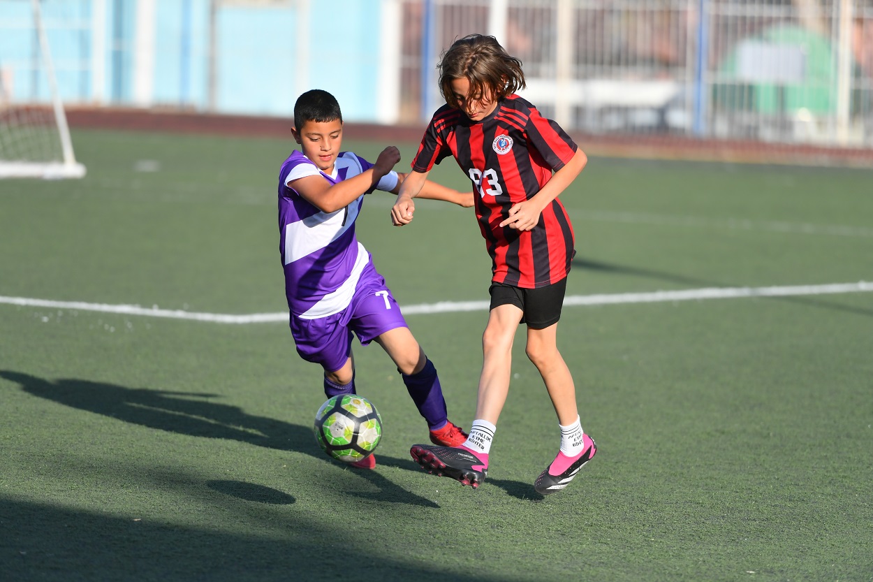 Ğğğğ-19