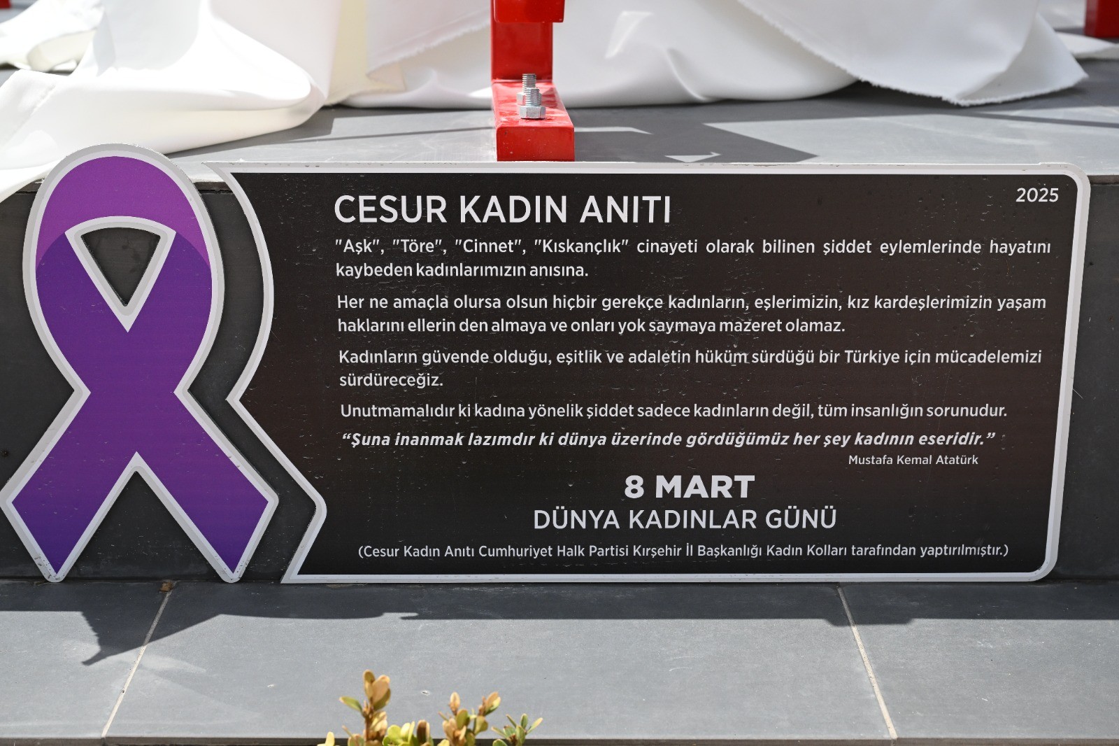 Kadın Cinayetlerine Karşı Farkındalık
