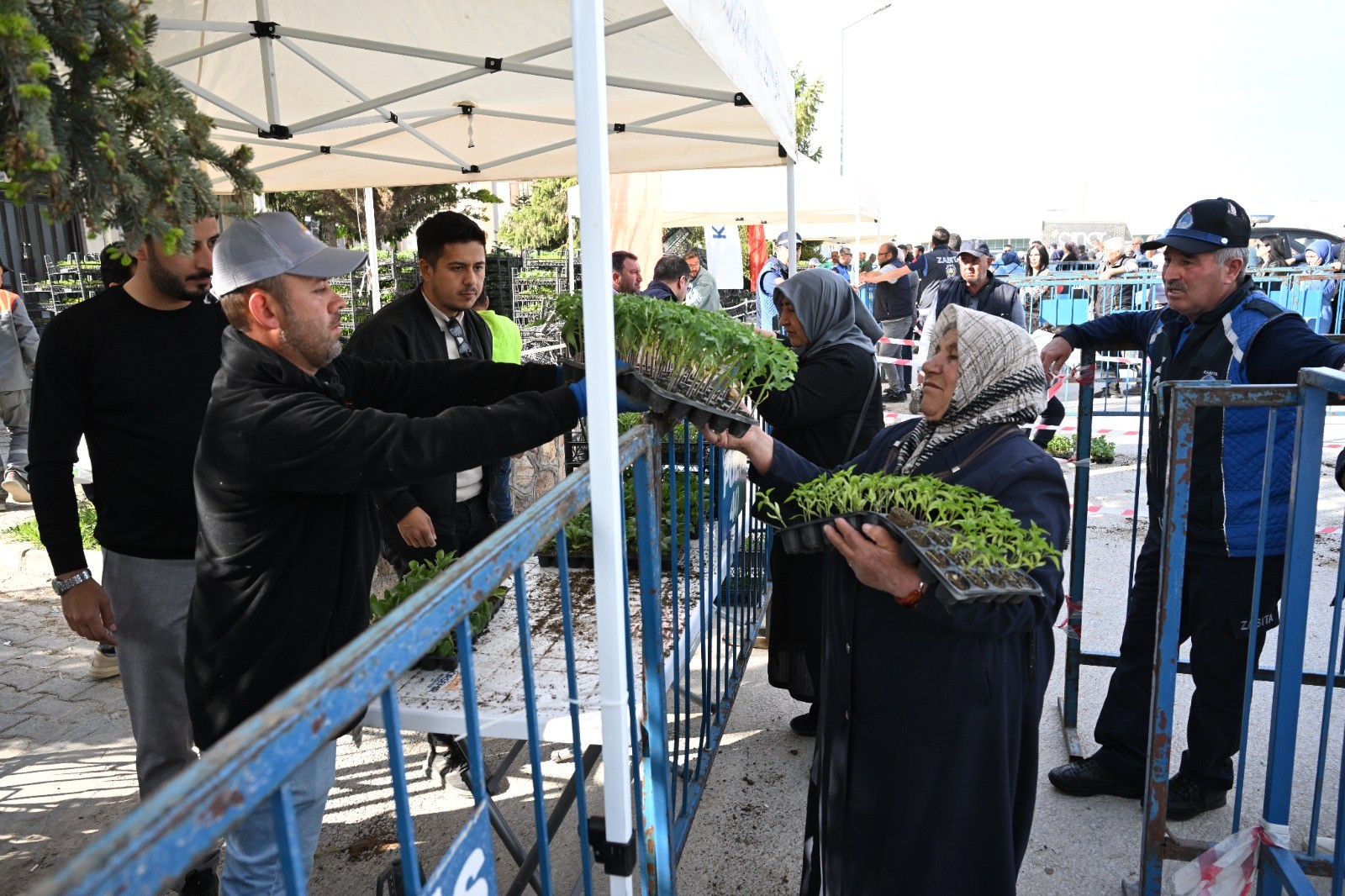 Vatandaşlar, Fideleri Ile Buluştu