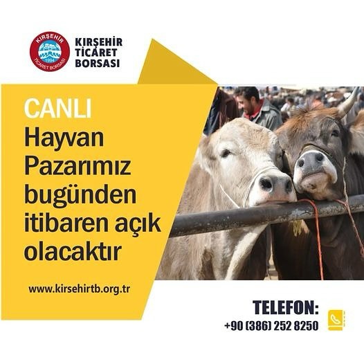 Canlı Hayvan Pazarı Bayramın 3. Gününe Kadar Açık Olacak