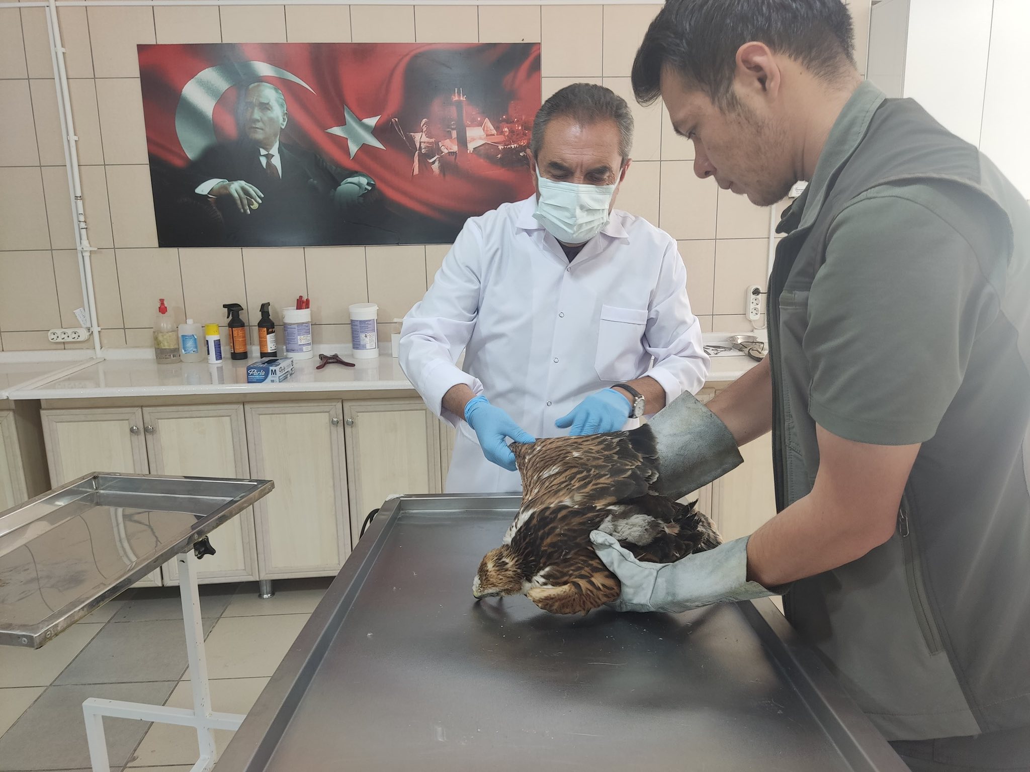 Kırşehir Karahıdır’da Şahin Seferberliği3