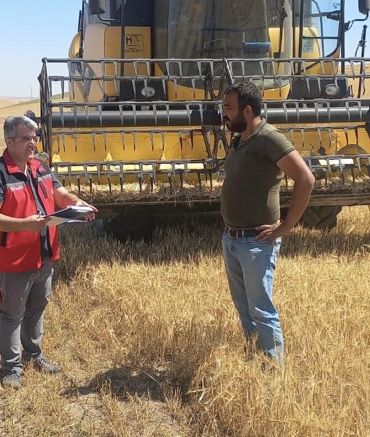 Kırşehir’de Hasat Sezonunda Denetimler Aralıksız Sürüyor
