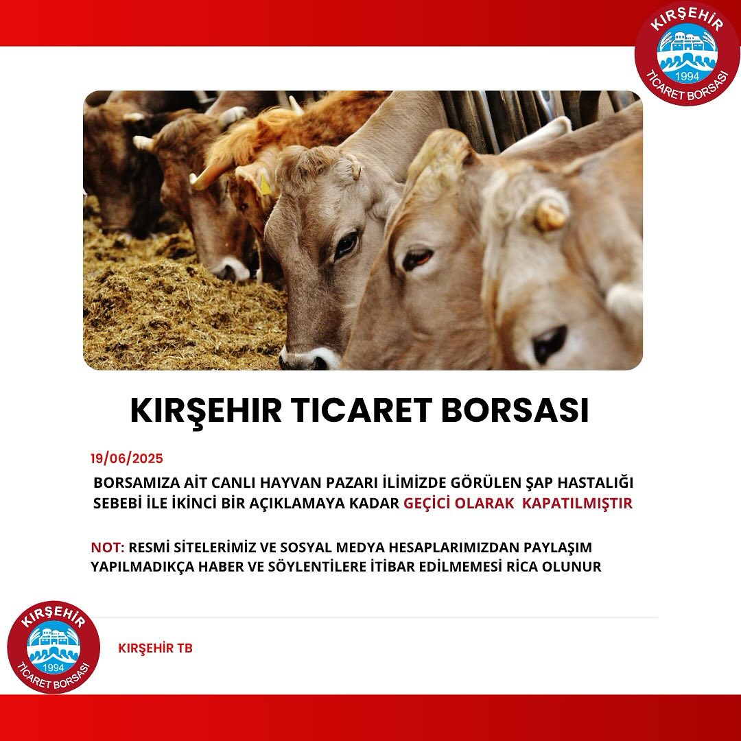 Kırşehir’de Şap Alarmı!..