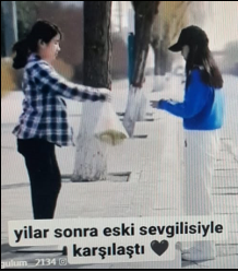 2-46