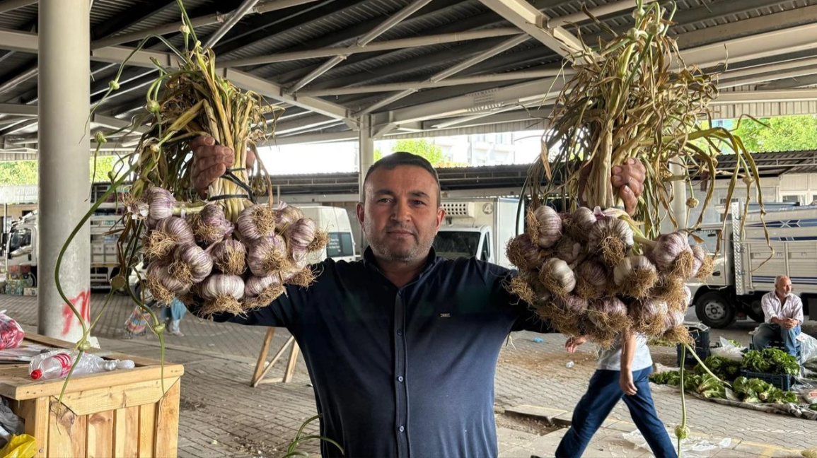 Belçika’dan Kırşehir’e Uzanan Mor Sarımsak2