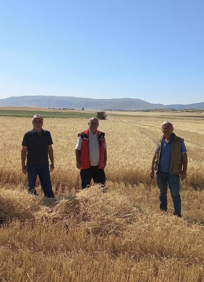 Kırşehir’de Hububat Hasadı Teknik Takiple Devam Ediyor2