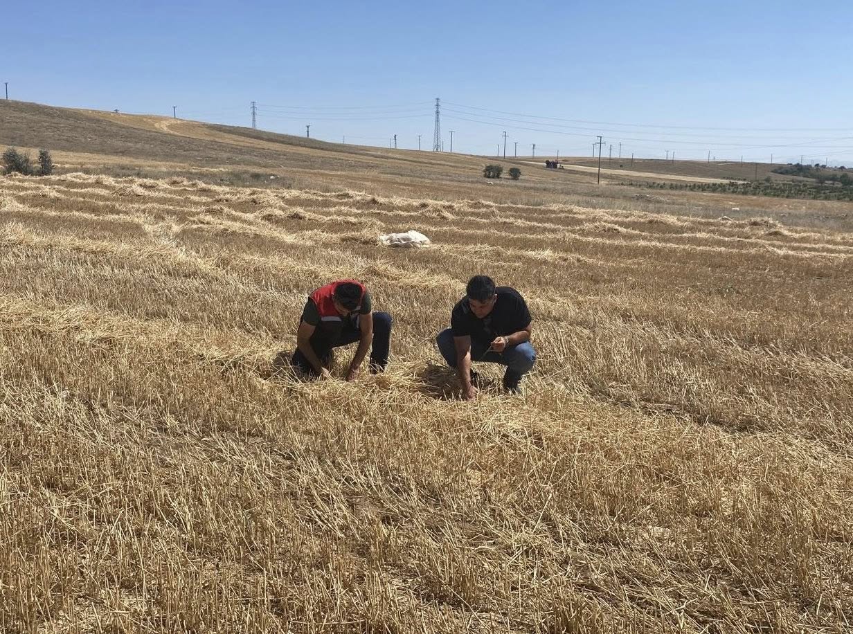 Kırşehir’de Tarım Ve Hayvancılık Alanında Yoğun Saha Çalışmaları Devam Ediyor3