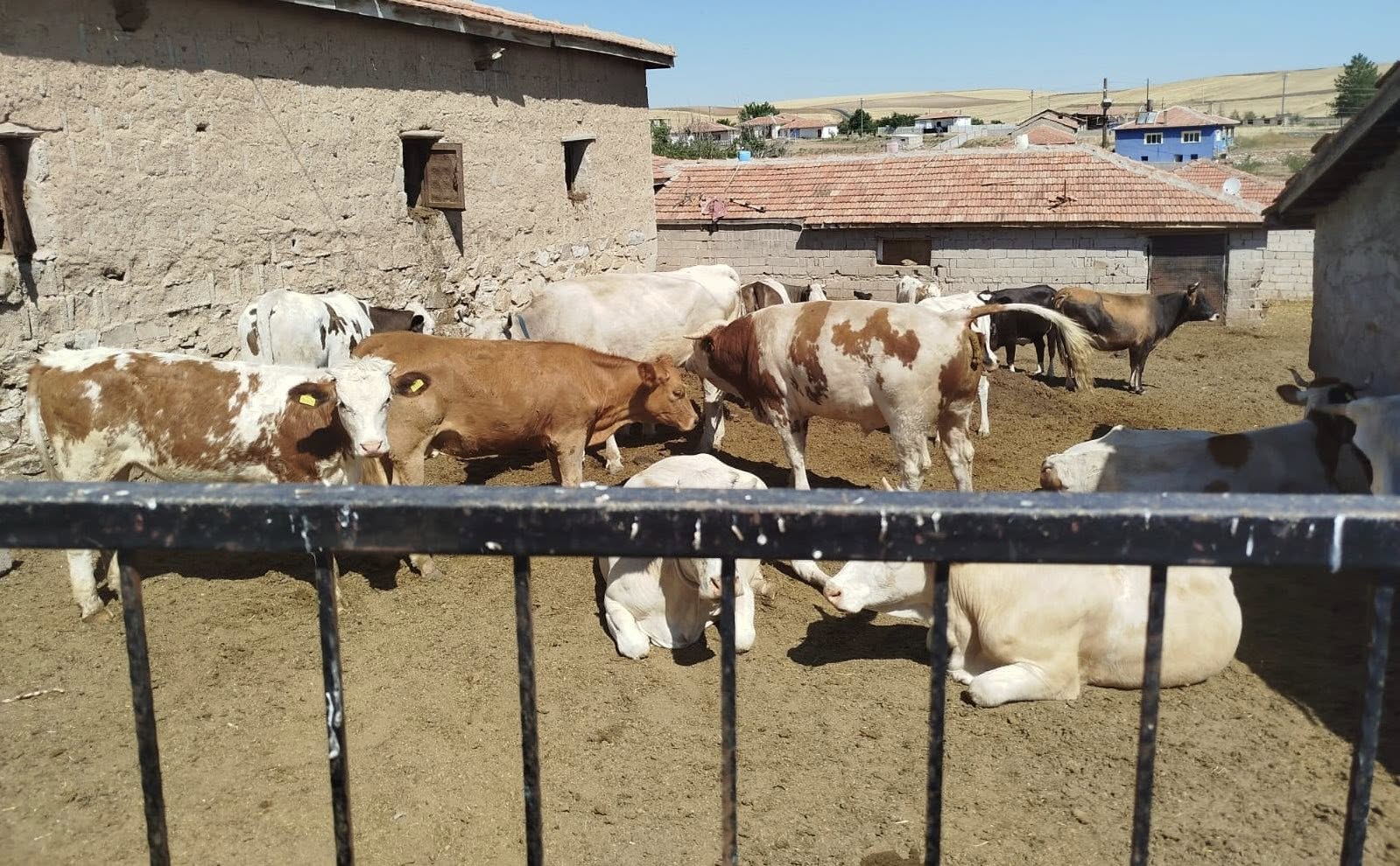 Uzman Eller Projesinde Saha Ziyaretleri Gerçekleştirildi1