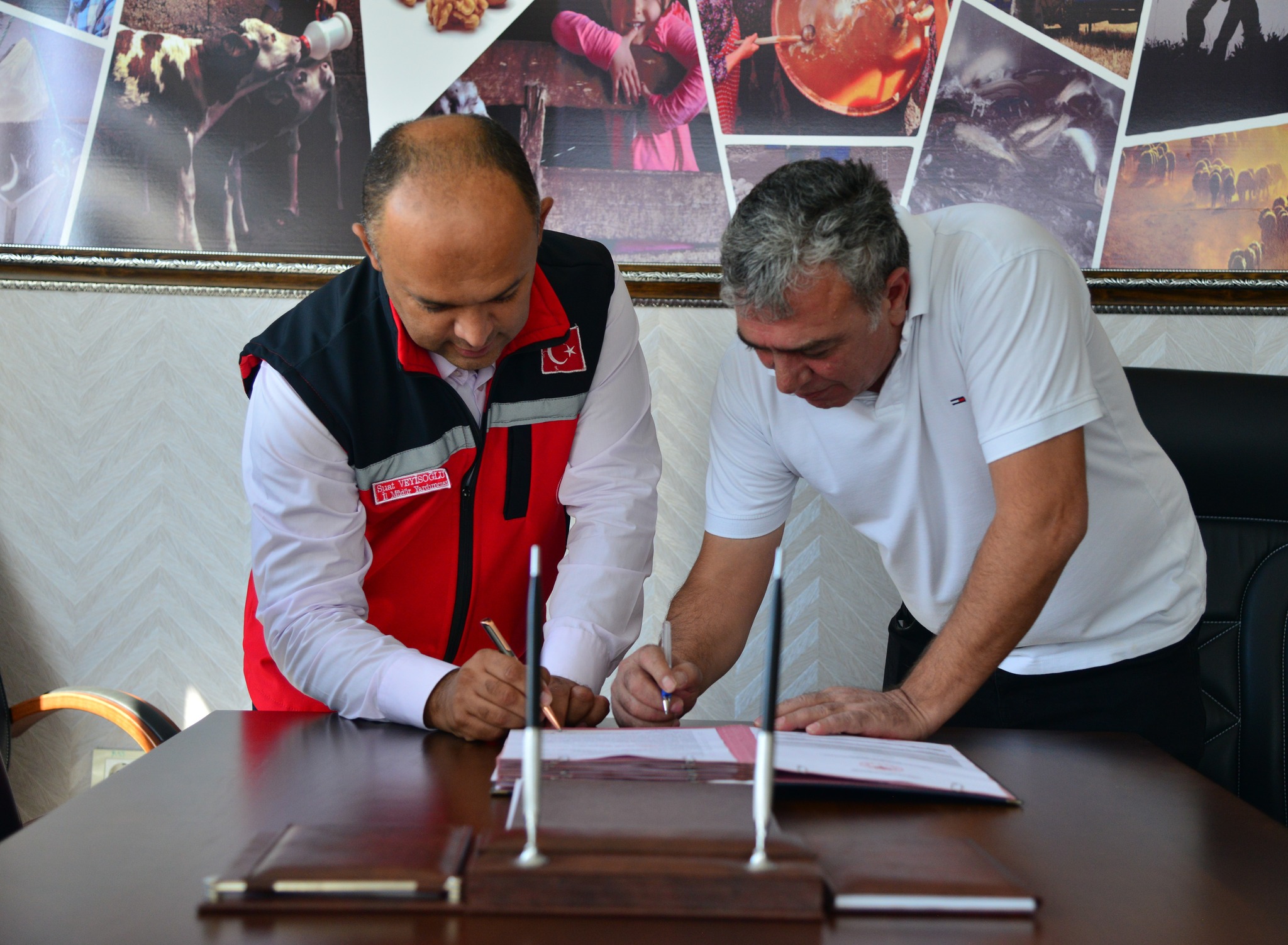 Büyükbaş Besicilik Yatırımına %50 Hibe Desteği Sağlandı1