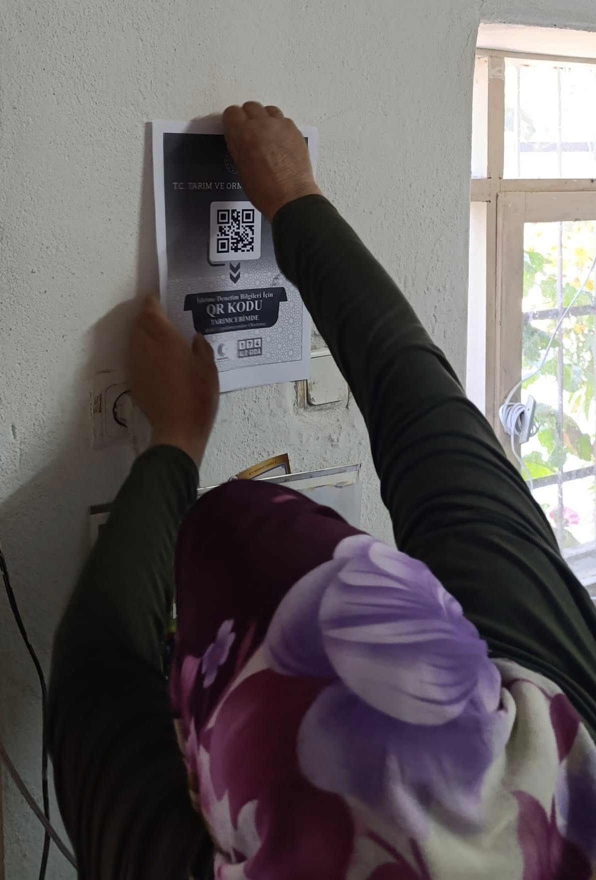 Kaman’da Arı Kovanları Tespit Edildi, Gıda Denetimleri Yoğunlaştı3