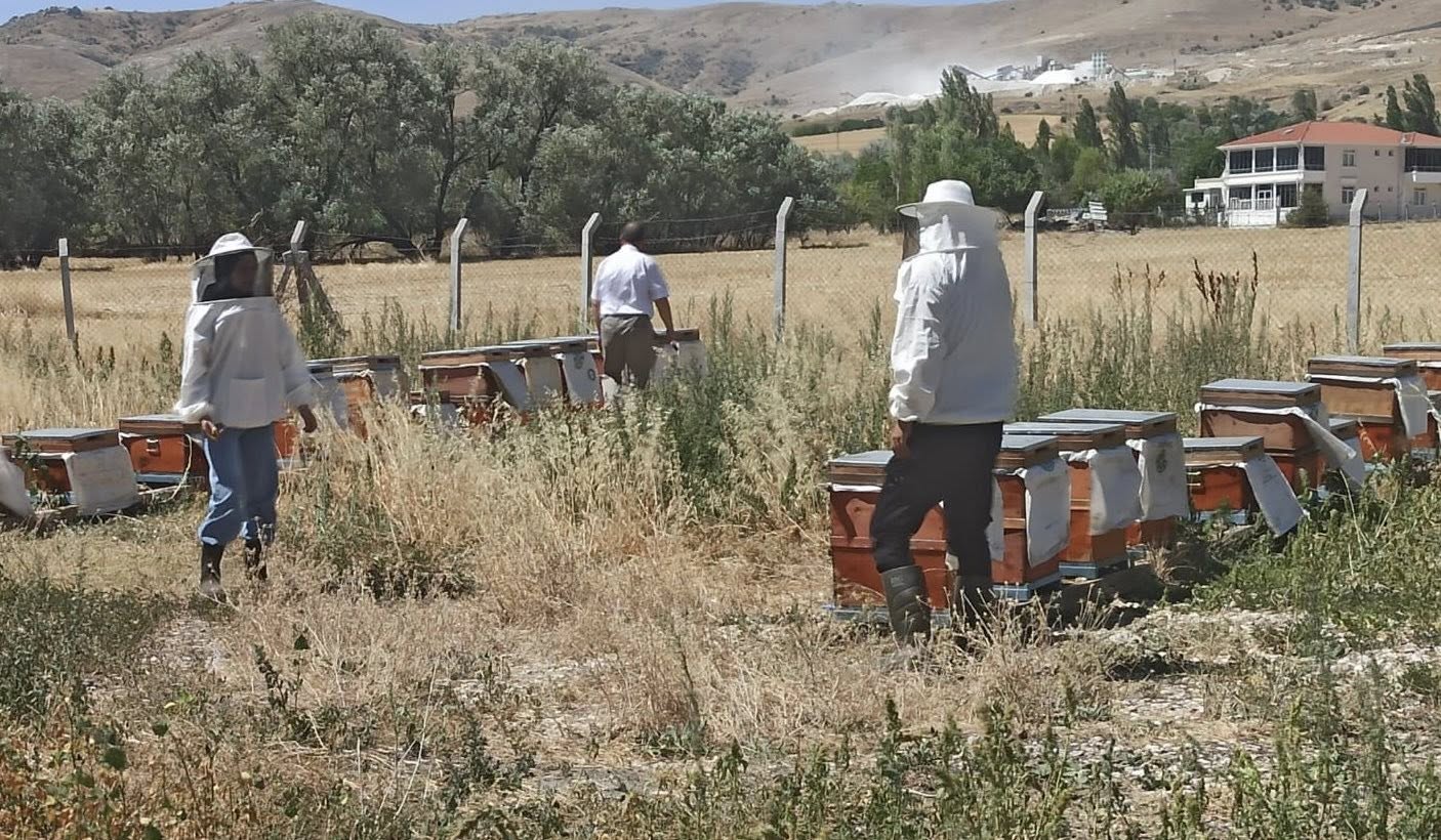 Kırşehir’de Karekod Ve Arı Kovanı Denetimleri Yapıldı