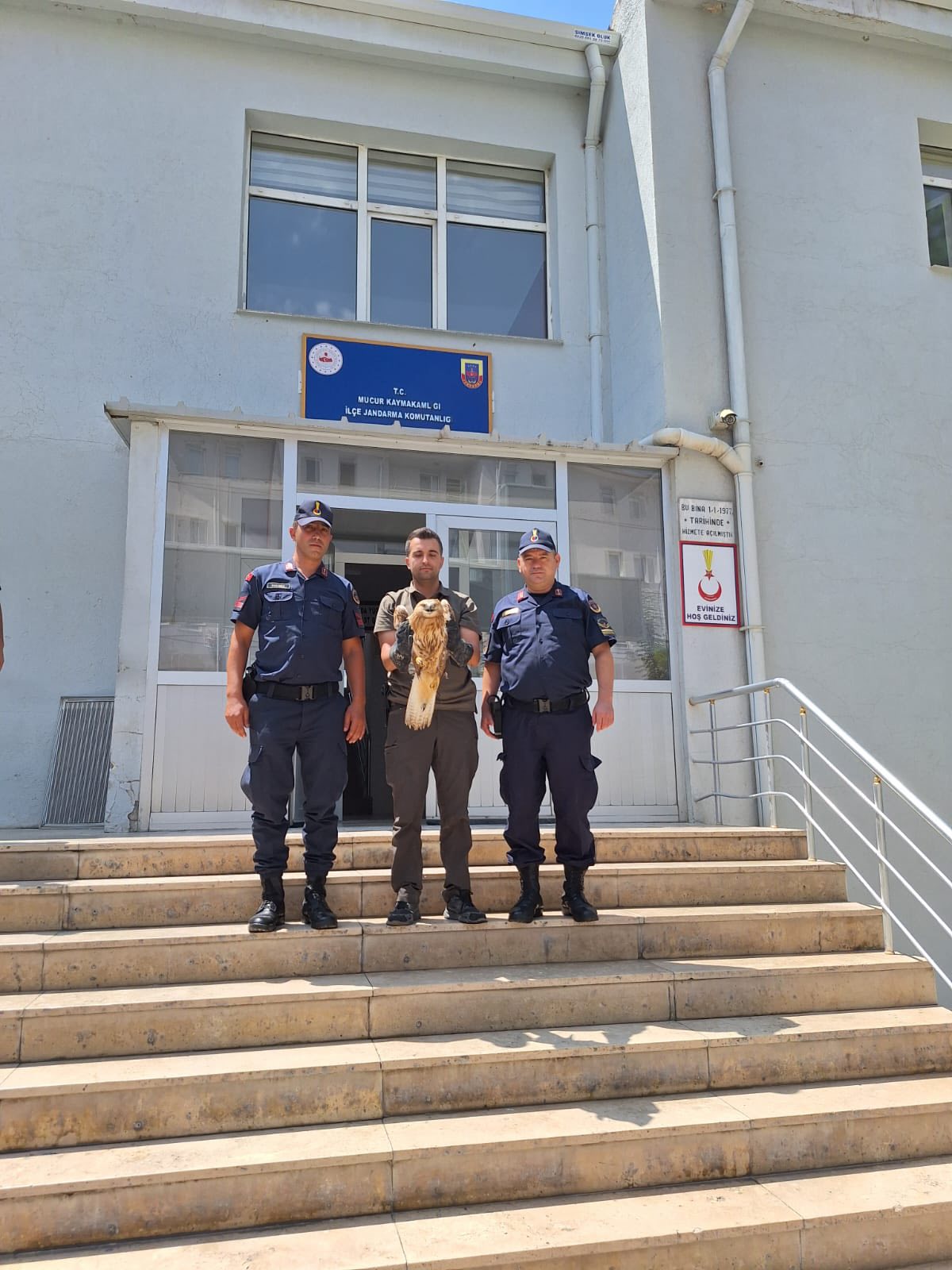 Kırşehir’de Örnek Müdahale… Yaralı Kızıl Şahin Tedavi Altına Alındı