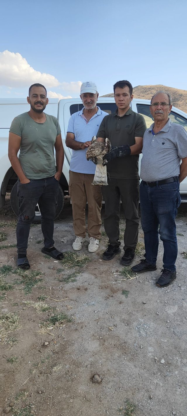 Kırşehir’de Yılan Kartalı Doğaya Kavuşacak1