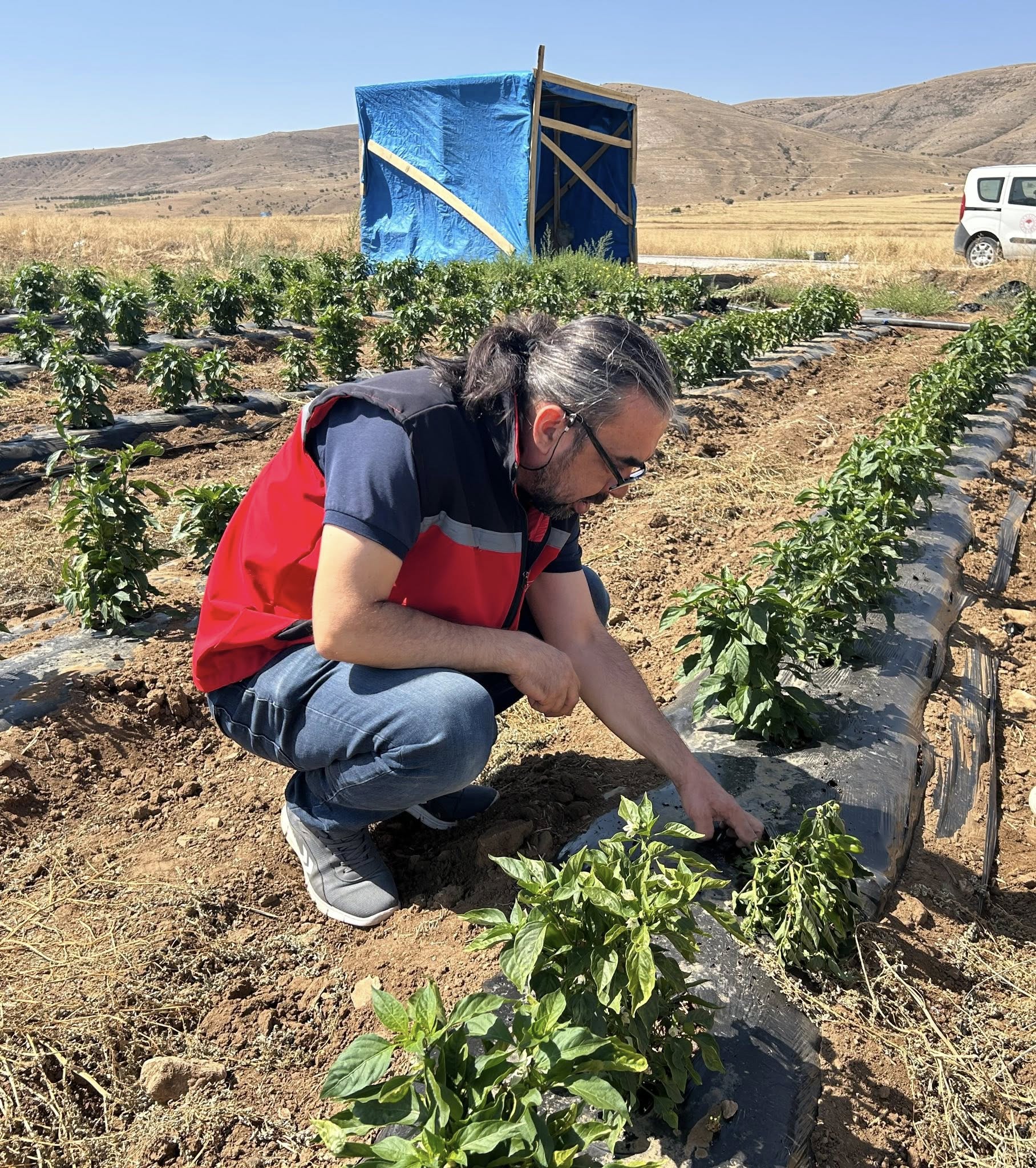 Kırşehir’in Lezzeti Cemele Biberiarım Müdürlüğü’nün Gündeminde3