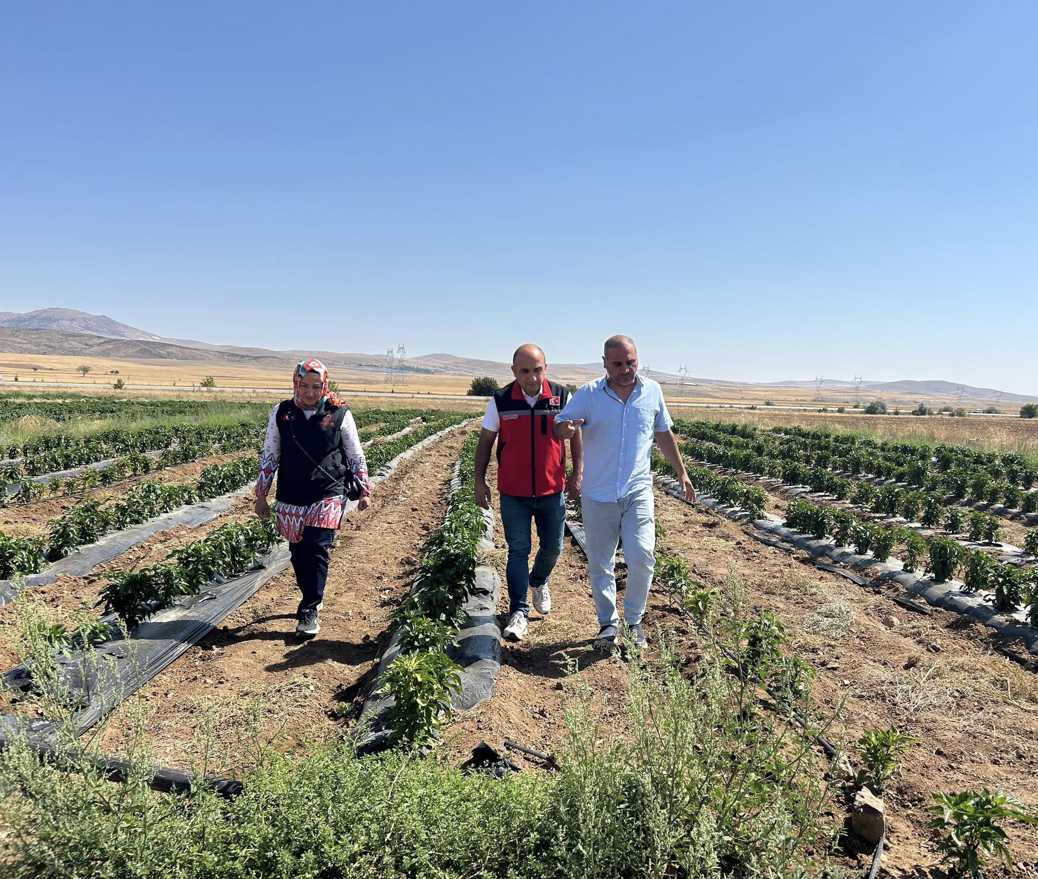 Kırşehir’in Lezzeti Cemele Biberitarım Müdürlüğü’nün Gündeminde2