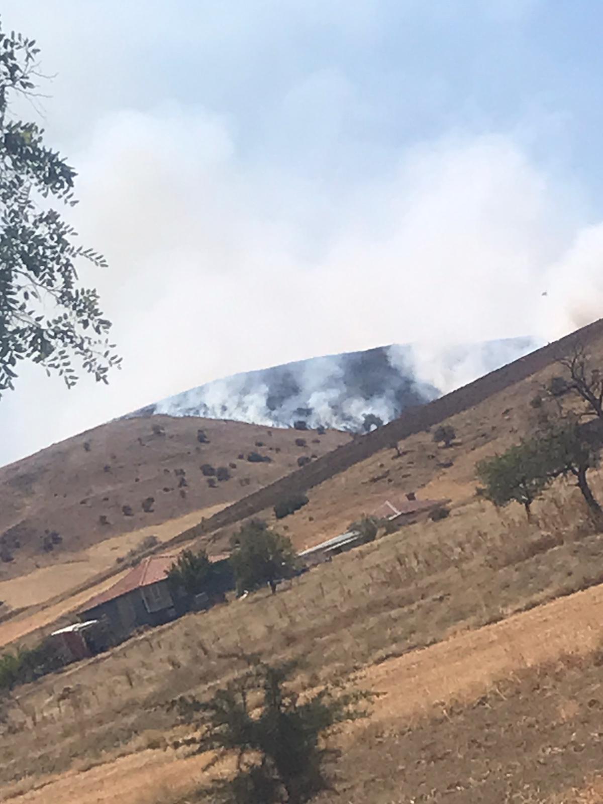 Whatsapp Image 2025 08 16 At 14.34.35