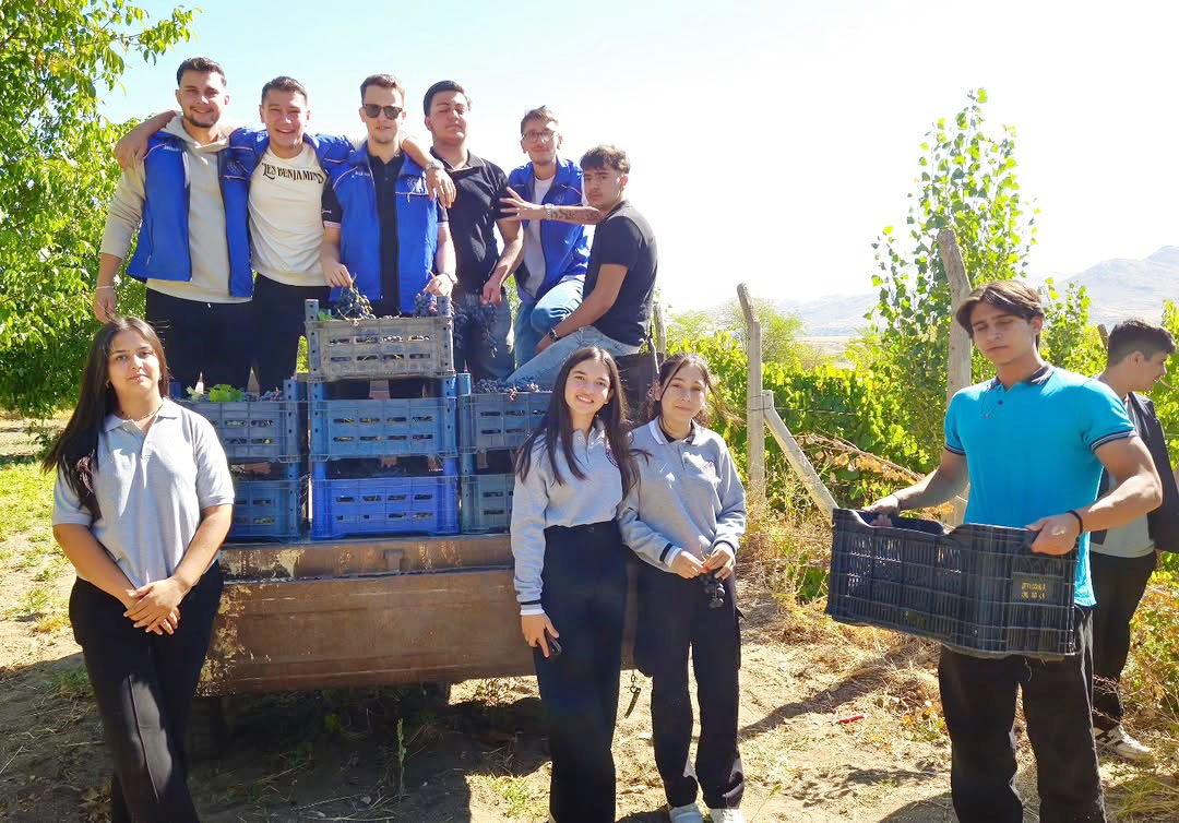 Genç Çiftçiler Üzüm Hasadında Buluştu (2)