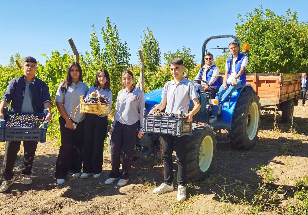 Genç Çiftçiler Üzüm Hasadında Buluştu (8)