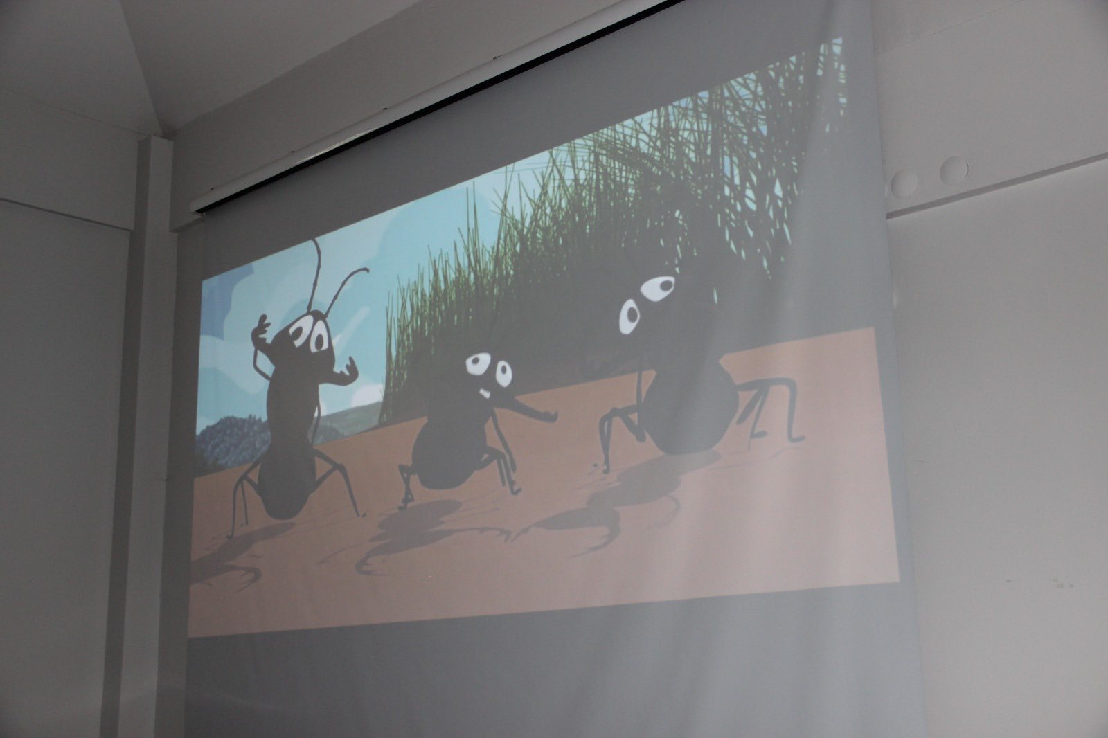 Kırşehir Tabiat Müzesi’nde Renkli Bir Gün Yaşandı3