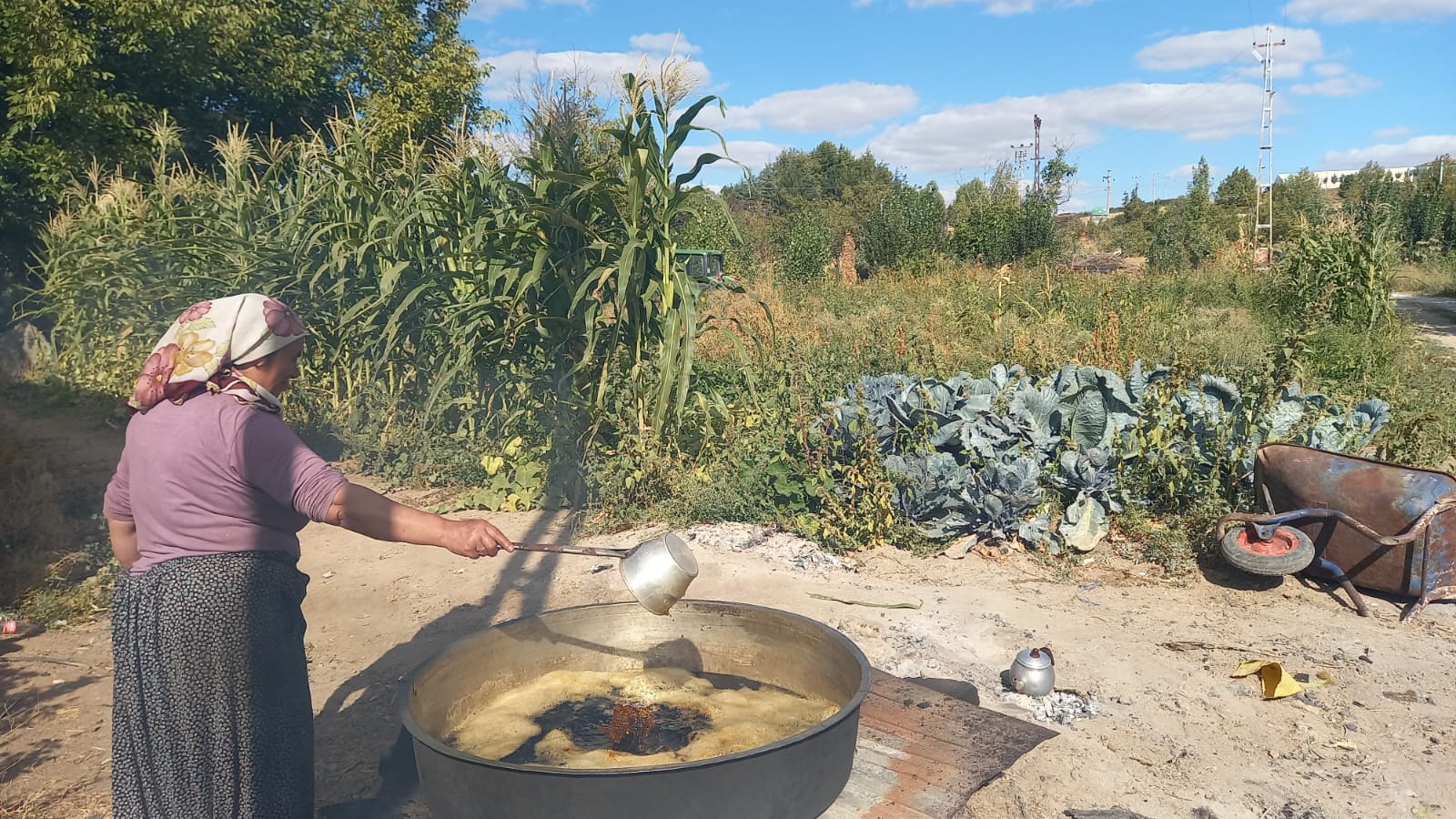 Kırşehir’de Bağ Bozumu Başladı2