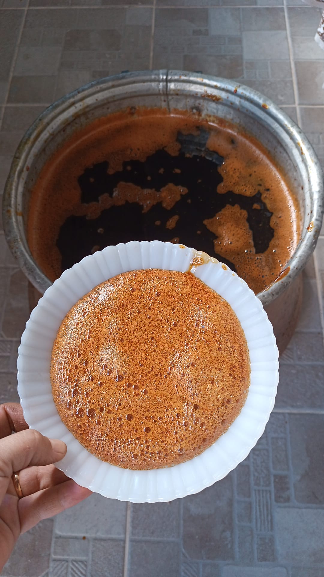 Kırşehir’de Bağ Bozumu Başladı6