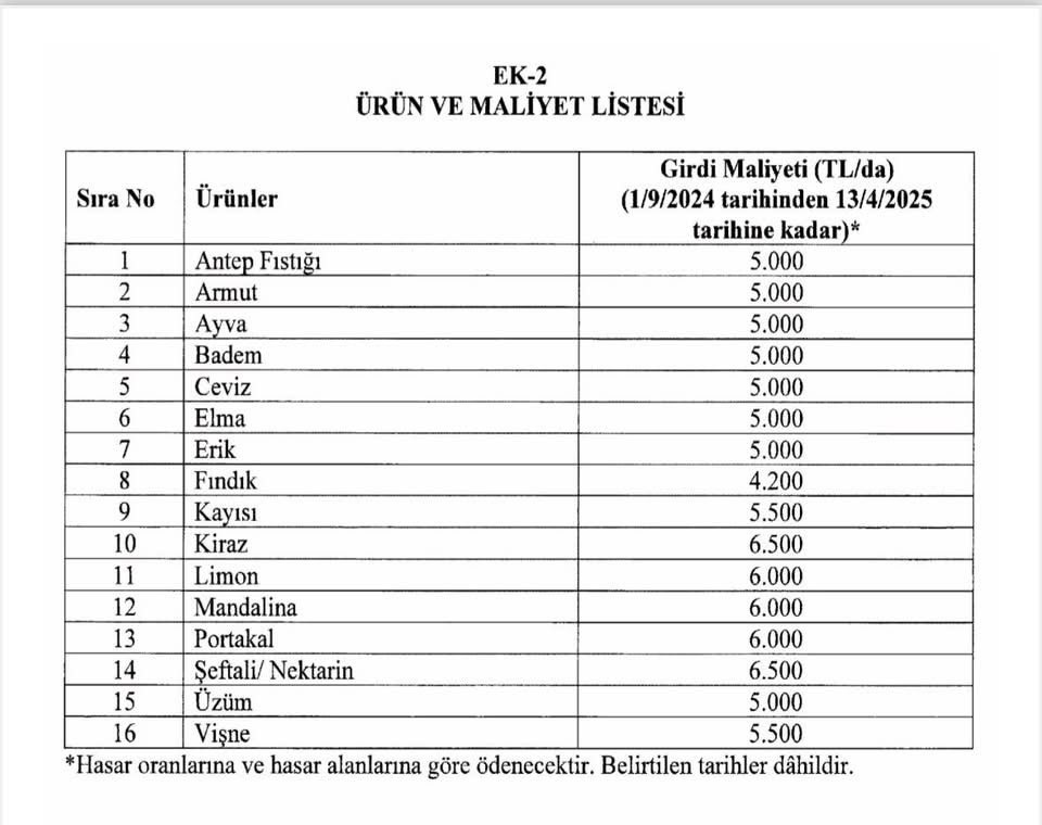 Kırşehir’de Ceviz Üreticisine Nefes Aldıran Karar Açıklandı